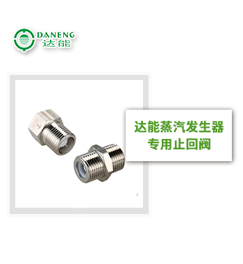 達(dá)能蒸汽發(fā)生器止回閥