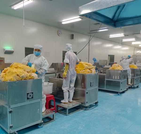 食品行業(yè)一般用什么樣的鍋爐？