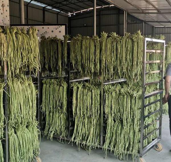 蒸汽發(fā)生器如何用于蔬菜水果烘干？