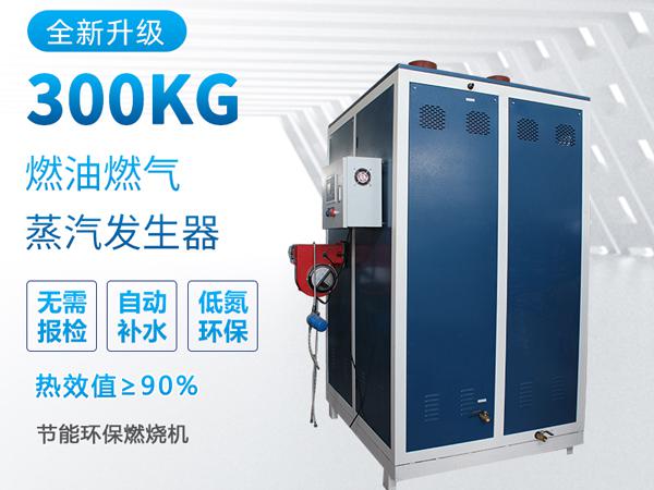 鑫達(dá)能300kg蒸汽發(fā)生器